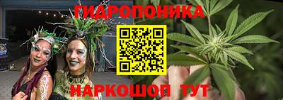 скорость Гусь-Хрустальный