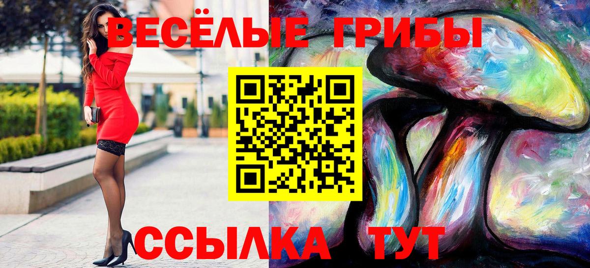 Псилоцибиновые грибы мицелий Нижнеудинск